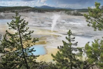 YELLOW STONE jigsaw puzzle