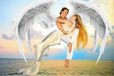 imagens