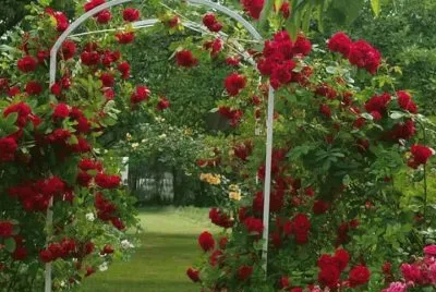 imagens jigsaw puzzle