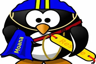 Salvavida-s PingÃ¼ino, NataciÃ³n .png