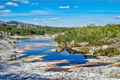 NATUREZA jigsaw puzzle