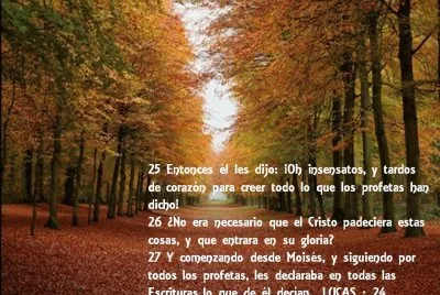 Un solo Dios jigsaw puzzle