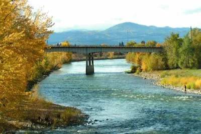 NATUREZA jigsaw puzzle