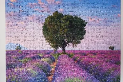Puzzle- Resuelto- Acabado.