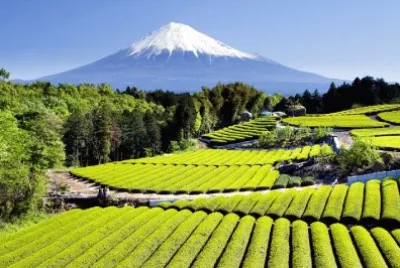 todo paisaje jigsaw puzzle