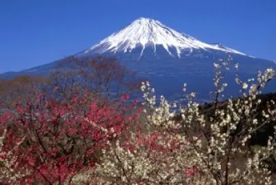 todo paisaje jigsaw puzzle