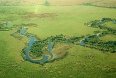 Esteros del IberÃ¡. Corrientes. Argentina