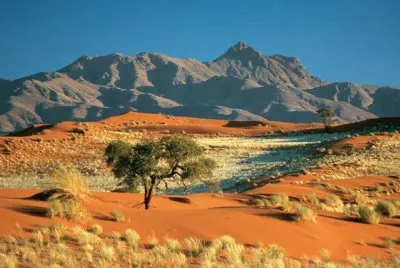 NATUREZA jigsaw puzzle