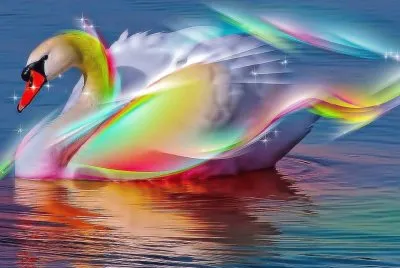 Cisne de colores.