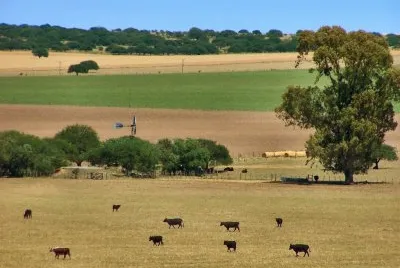 En Santa Rosa. La Pampa. Argentina jigsaw puzzle