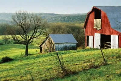 NATUREZA jigsaw puzzle