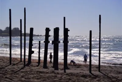 pilings jigsaw puzzle