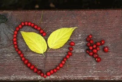 CorazÃ³n- RomÃ¡ntico.