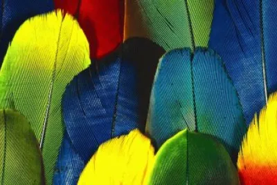 266