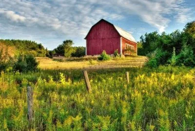 NATUREZA jigsaw puzzle