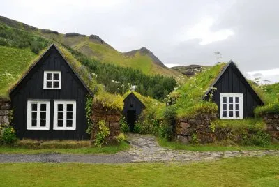 Museo Islandia- Hierba.