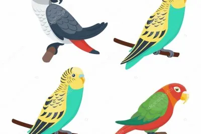 פאזל של pericos