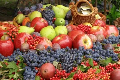 Alimento-Frutas,Variedad .