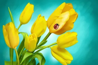 Flores- Primavera, tulipanes.