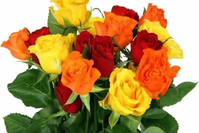 Colorido- Ramo de rosas.