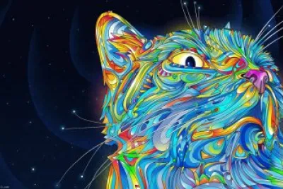 Gato jigsaw puzzle