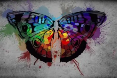 Mariposa