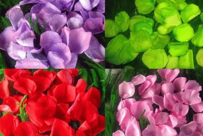 PÃ©talos de Colores