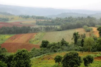 En El Soberbio. Misiones. Argentina