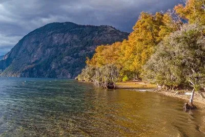 Quila Quina. NeuquÃ©n. Argentina
