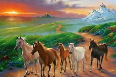 imagens