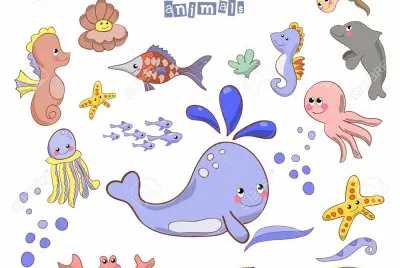 ballenas