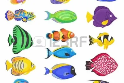 peces
