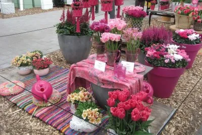 Keukenhof Gardens Display, Netherlands