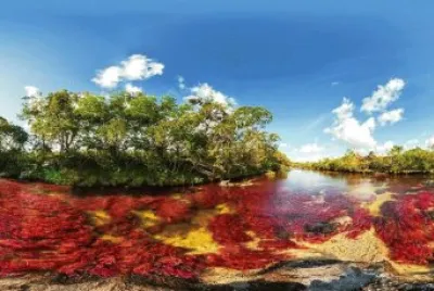 NATUREZA jigsaw puzzle