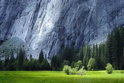 nature jigsaw puzzle