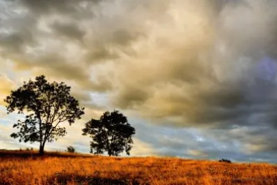 NATUREZA jigsaw puzzle