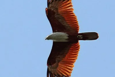 e23