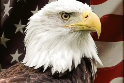 e26