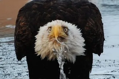 e27