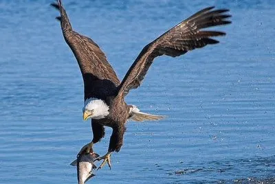 e28