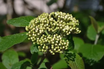 images jigsaw puzzle