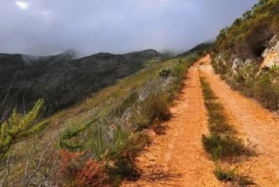 NATUREZA jigsaw puzzle