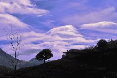 Mesa del oso jigsaw puzzle