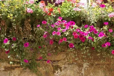 fleurs jigsaw puzzle