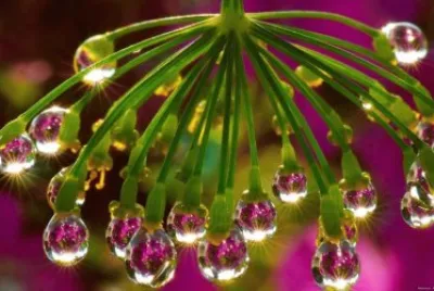 todo paisaje jigsaw puzzle