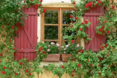 todo paisaje jigsaw puzzle