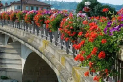 todo paisaje jigsaw puzzle