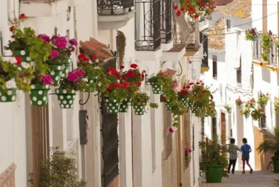 todo paisaje jigsaw puzzle