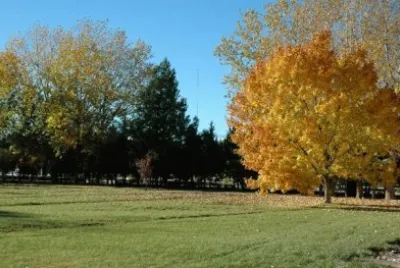 OtoÃ±o en 25 de Mayo. La Pampa. Argentina