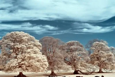 imagens jigsaw puzzle